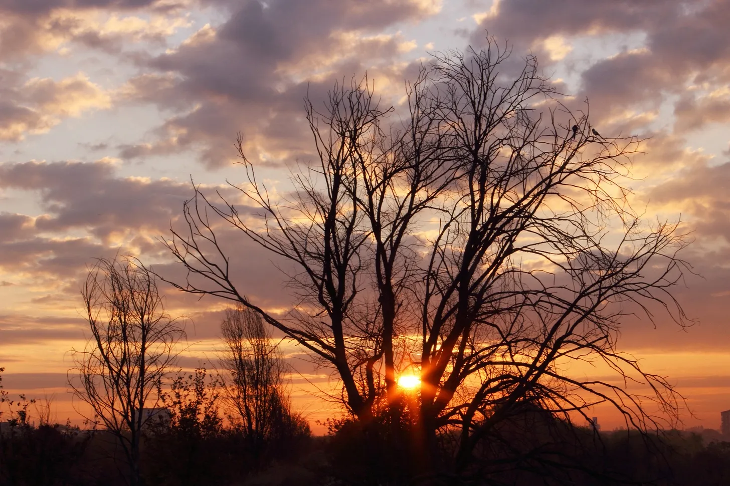 The most beautiful photo I've taken since I bought my camera