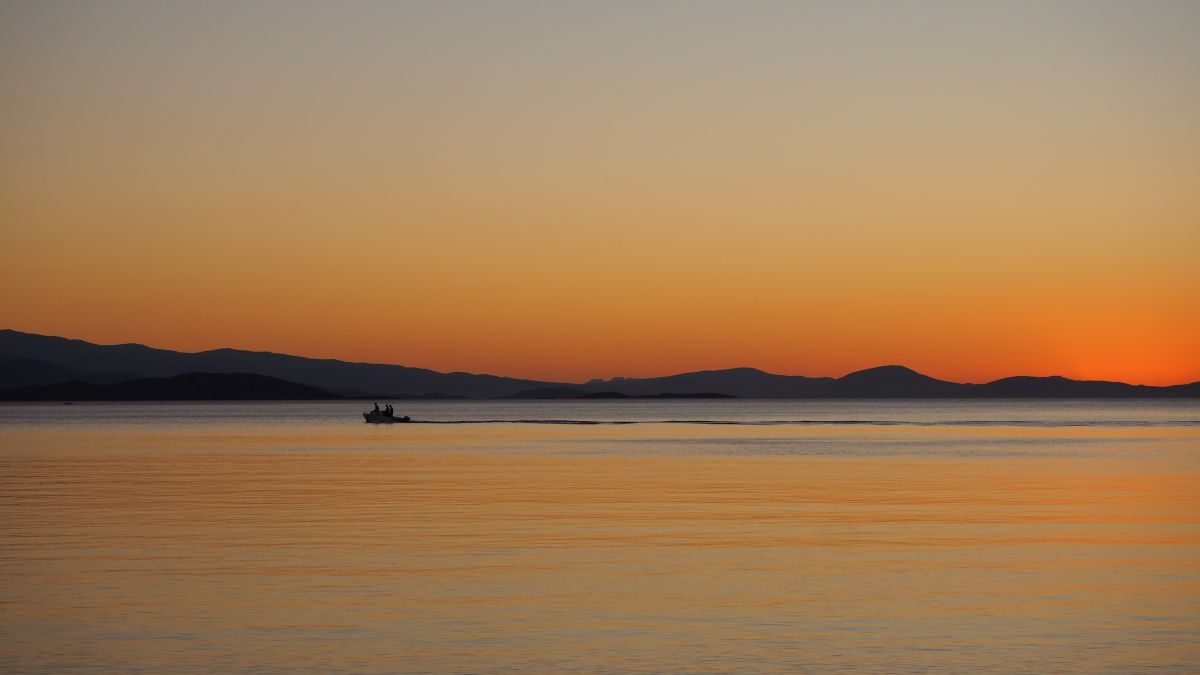 A Midlife Plan, a Big Dream, and a $15,000 Goal